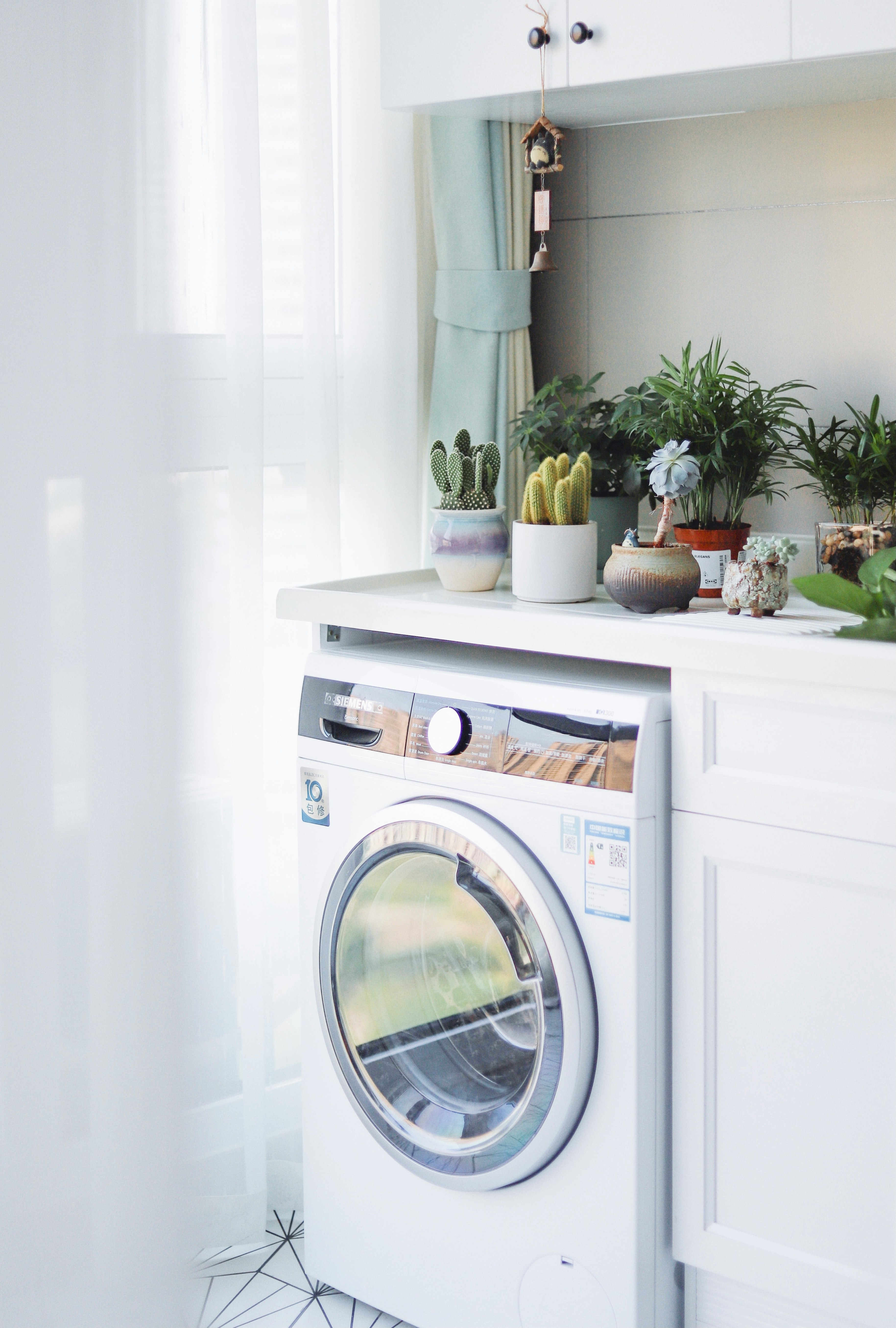A front-loading washing machine with various cacti and local plants on top in Litchfield Park